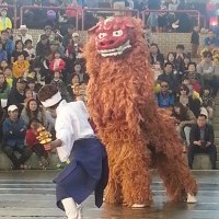 일본 오키나와 사자 춤!멋친공연 고마워~